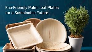 Eco Palm Leaf Plate